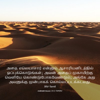 Picture 03 - எண்ணாகமம் 19:3 TAMIRV - அதை எலெயாசார் - Bible Verse Picture