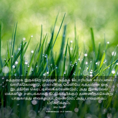 Picture 03 - எண்ணாகமம் 19:9 TAMIRV - சுத்தமாக இருக்கிற - Bible Verse Picture