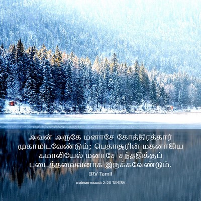 Picture 03 - எண்ணாகமம் 2:20 TAMIRV - அவன் அருகே மனாசே - Bible Verse Picture