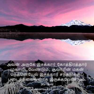 Picture 03 - எண்ணாகமம் 2:5 TAMIRV - அவன் அருகே - Bible Verse Picture