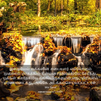 Picture 03 - எண்ணாகமம் 20:1 TAMIRV - இஸ்ரவேல் மக்களின் - Bible Verse Picture