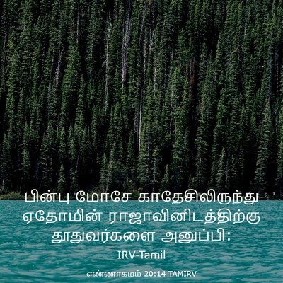 Picture 03 - எண்ணாகமம் 20:14 TAMIRV - பின்பு மோசே - Bible Verse Picture