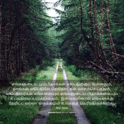 Picture 03 - எண்ணாகமம் 20:15 TAMIRV - எங்களுடைய - Bible Verse Picture