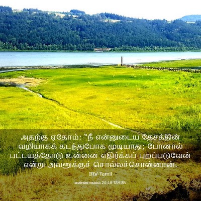 Picture 03 - எண்ணாகமம் 20:18 TAMIRV - அதற்கு ஏதோம்: “நீ - Bible Verse Picture