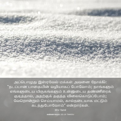 Picture 03 - எண்ணாகமம் 20:19 TAMIRV - அப்பொழுது - Bible Verse Picture