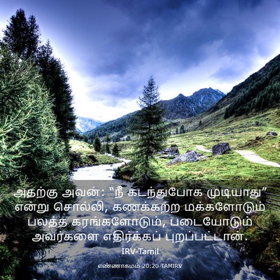 Picture 03 - எண்ணாகமம் 20:20 TAMIRV - அதற்கு அவன்: “நீ - Bible Verse Picture