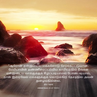Picture 03 - எண்ணாகமம் 20:24 TAMIRV - “ஆரோன் தன்னுடைய - Bible Verse Picture
