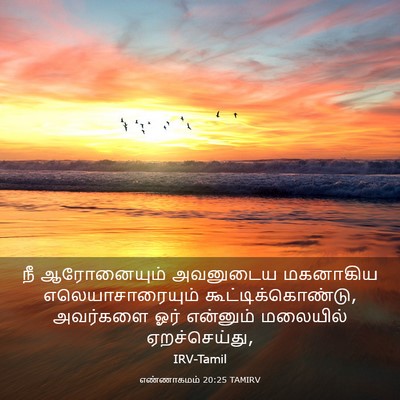 Picture 03 - எண்ணாகமம் 20:25 TAMIRV - நீ ஆரோனையும் - Bible Verse Picture