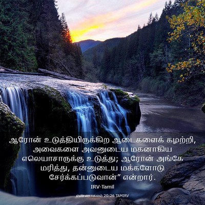 Picture 03 - எண்ணாகமம் 20:26 TAMIRV - ஆரோன் - Bible Verse Picture