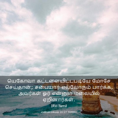 Picture 03 - எண்ணாகமம் 20:27 TAMIRV - யெகோவா - Bible Verse Picture