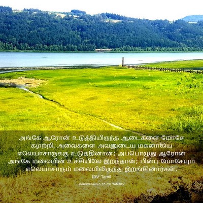 Picture 03 - எண்ணாகமம் 20:28 TAMIRV - அங்கே ஆரோன் - Bible Verse Picture