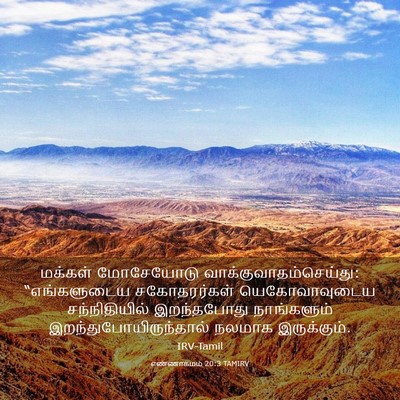 Picture 03 - எண்ணாகமம் 20:3 TAMIRV - மக்கள் மோசேயோடு - Bible Verse Picture