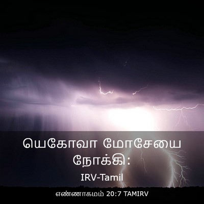 Picture 03 - எண்ணாகமம் 20:7 TAMIRV - யெகோவா மோசேயை - Bible Verse Picture