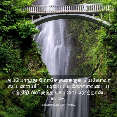 Picture 03 - எண்ணாகமம் 20:9 TAMIRV - அப்பொழுது மோசே - Bible Verse Picture