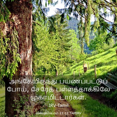 Picture 03 - எண்ணாகமம் 21:12 TAMIRV - அங்கேயிருந்து - Bible Verse Picture