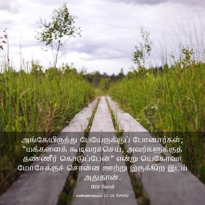 Picture 03 - எண்ணாகமம் 21:16 TAMIRV - அங்கேயிருந்து - Bible Verse Picture