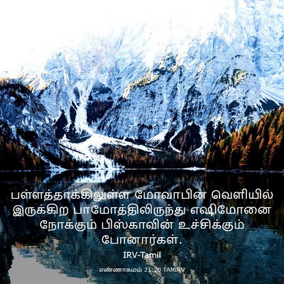 Picture 03 - எண்ணாகமம் 21:20 TAMIRV -  - Bible Verse Picture