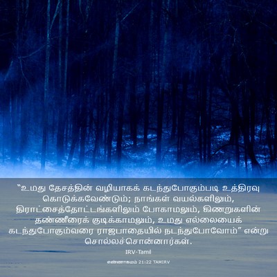 Picture 03 - எண்ணாகமம் 21:22 TAMIRV - “உமது தேசத்தின் - Bible Verse Picture