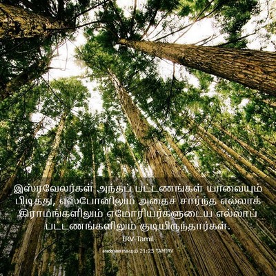 Picture 03 - எண்ணாகமம் 21:25 TAMIRV - இஸ்ரவேலர்கள் - Bible Verse Picture
