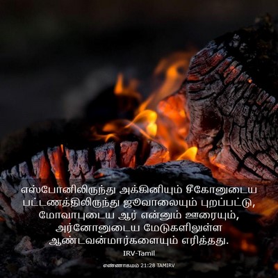 Picture 03 - எண்ணாகமம் 21:28 TAMIRV - எஸ்போனிலிருந்து - Bible Verse Picture