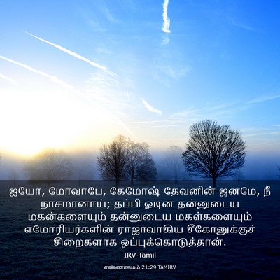 Picture 03 - எண்ணாகமம் 21:29 TAMIRV - ஐயோ, மோவாபே, கேமோஷ் - Bible Verse Picture