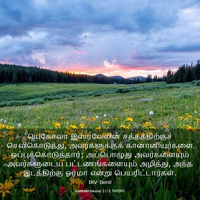 Picture 03 - எண்ணாகமம் 21:3 TAMIRV - யெகோவா இஸ்ரவேலின் - Bible Verse Picture