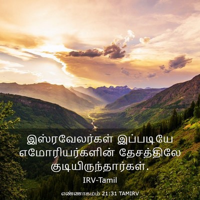 Picture 03 - எண்ணாகமம் 21:31 TAMIRV - இஸ்ரவேலர்கள் - Bible Verse Picture