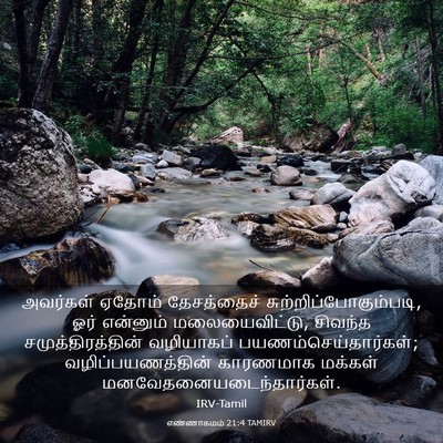 Picture 03 - எண்ணாகமம் 21:4 TAMIRV - அவர்கள் ஏதோம் - Bible Verse Picture