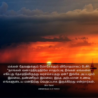 Picture 03 - எண்ணாகமம் 21:5 TAMIRV - மக்கள் - Bible Verse Picture