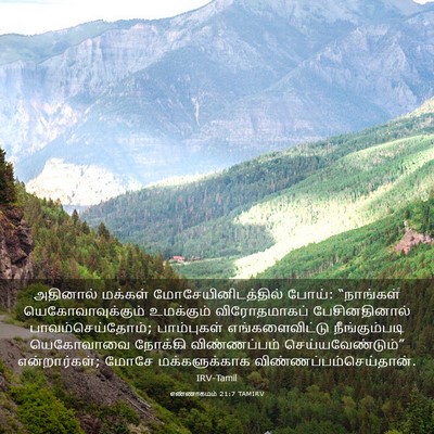 Picture 03 - எண்ணாகமம் 21:7 TAMIRV - அதினால் மக்கள் - Bible Verse Picture