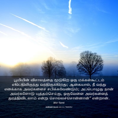 Picture 03 - எண்ணாகமம் 22:11 TAMIRV - பூமியின் - Bible Verse Picture