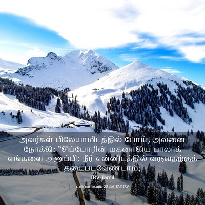 Picture 03 - எண்ணாகமம் 22:16 TAMIRV - அவர்கள் - Bible Verse Picture