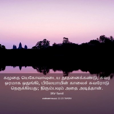 Picture 03 - எண்ணாகமம் 22:25 TAMIRV - கழுதை யெகோவாவுடைய - Bible Verse Picture