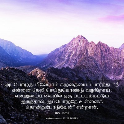 Picture 03 - எண்ணாகமம் 22:29 TAMIRV - அப்பொழுது - Bible Verse Picture