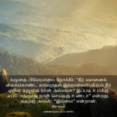 Picture 03 - எண்ணாகமம் 22:30 TAMIRV - கழுதை பிலேயாமை - Bible Verse Picture