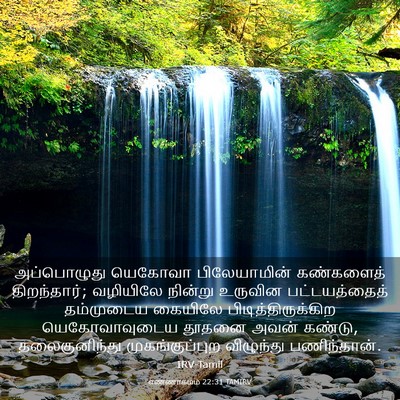 Picture 03 - எண்ணாகமம் 22:31 TAMIRV - அப்பொழுது யெகோவா - Bible Verse Picture