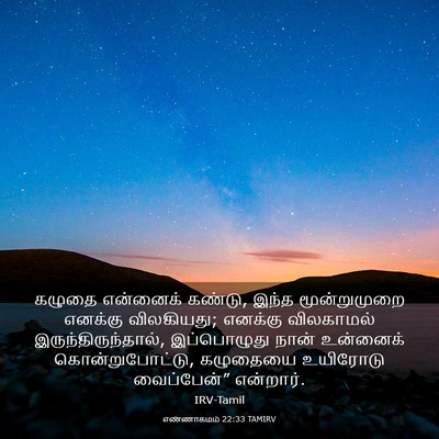 Picture 03 - எண்ணாகமம் 22:33 TAMIRV - கழுதை என்னைக் - Bible Verse Picture