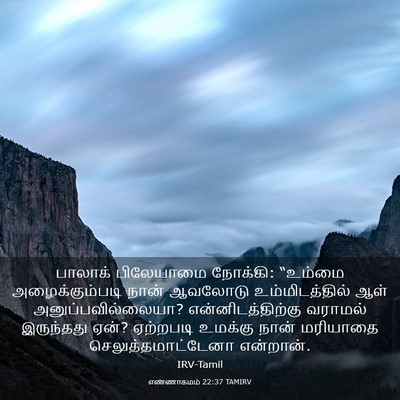 Picture 03 - எண்ணாகமம் 22:37 TAMIRV - பாலாக் பிலேயாமை - Bible Verse Picture