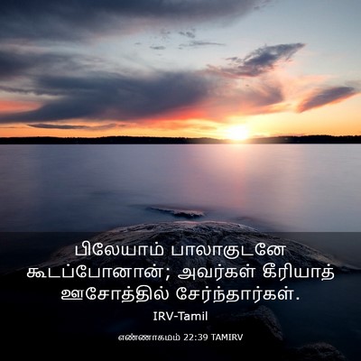 Picture 03 - எண்ணாகமம் 22:39 TAMIRV - பிலேயாம் - Bible Verse Picture