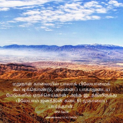 Picture 03 - எண்ணாகமம் 22:41 TAMIRV - மறுநாள் காலையில் - Bible Verse Picture