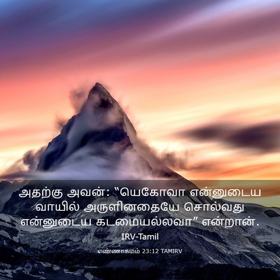 Picture 03 - எண்ணாகமம் 23:12 TAMIRV - அதற்கு அவன்: - Bible Verse Picture