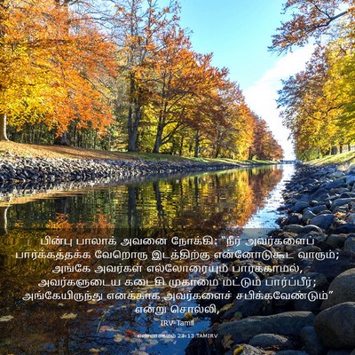 Picture 03 - எண்ணாகமம் 23:13 TAMIRV - பின்பு பாலாக் - Bible Verse Picture