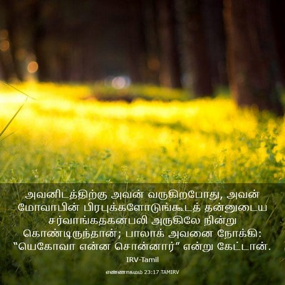 Picture 03 - எண்ணாகமம் 23:17 TAMIRV - அவனிடத்திற்கு - Bible Verse Picture