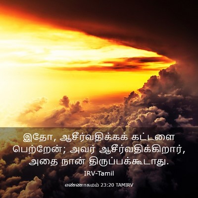Picture 03 - எண்ணாகமம் 23:20 TAMIRV - இதோ, - Bible Verse Picture
