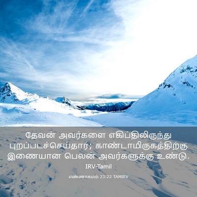 Picture 03 - எண்ணாகமம் 23:22 TAMIRV - தேவன் அவர்களை - Bible Verse Picture