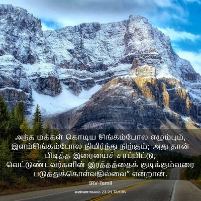 Picture 03 - எண்ணாகமம் 23:24 TAMIRV - அந்த மக்கள் கொடிய - Bible Verse Picture