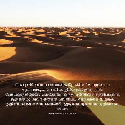 Picture 03 - எண்ணாகமம் 23:3 TAMIRV - பின்பு பிலேயாம் - Bible Verse Picture