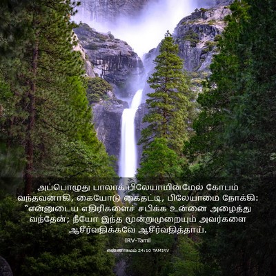 Picture 03 - எண்ணாகமம் 24:10 TAMIRV - அப்பொழுது பாலாக் - Bible Verse Picture