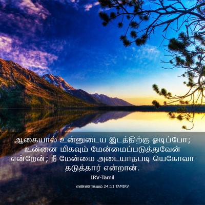 Picture 03 - எண்ணாகமம் 24:11 TAMIRV - ஆகையால் உன்னுடைய - Bible Verse Picture