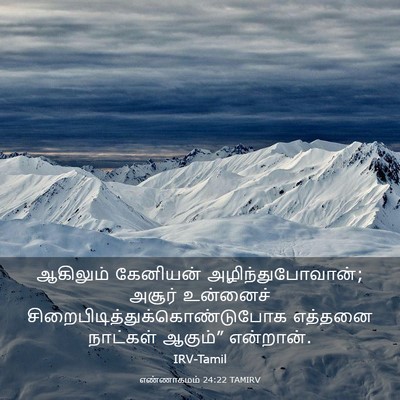 Picture 03 - எண்ணாகமம் 24:22 TAMIRV - ஆகிலும் கேனியன் - Bible Verse Picture
